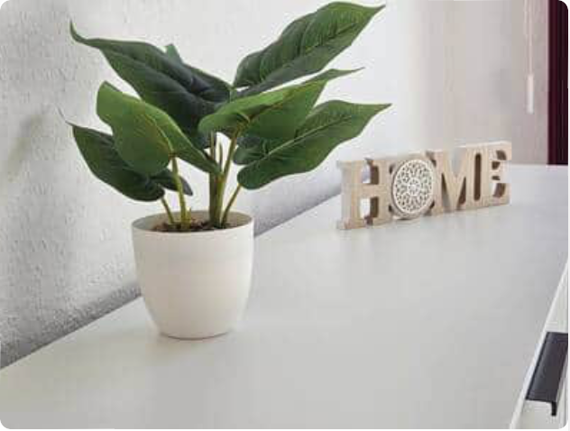 Fewogarant Unterkunft Plauen